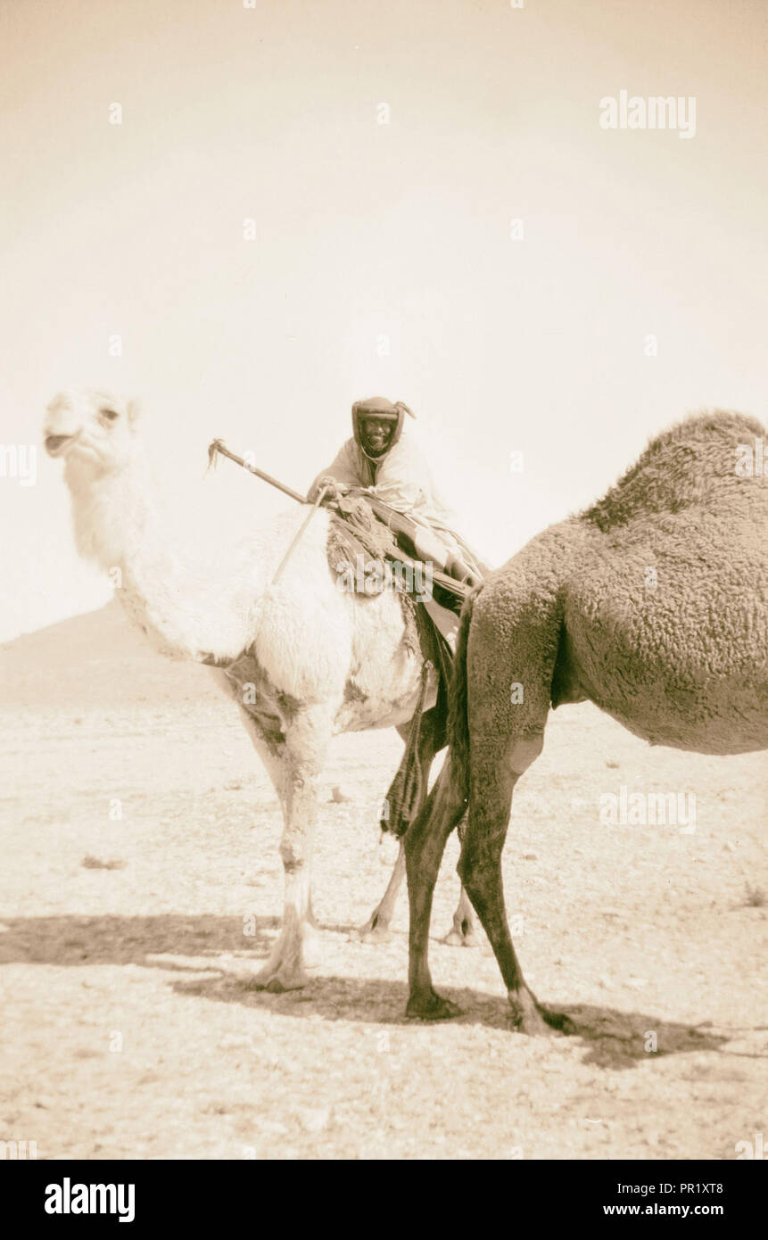 Syria desert hi-res stock photography and images - Alamy