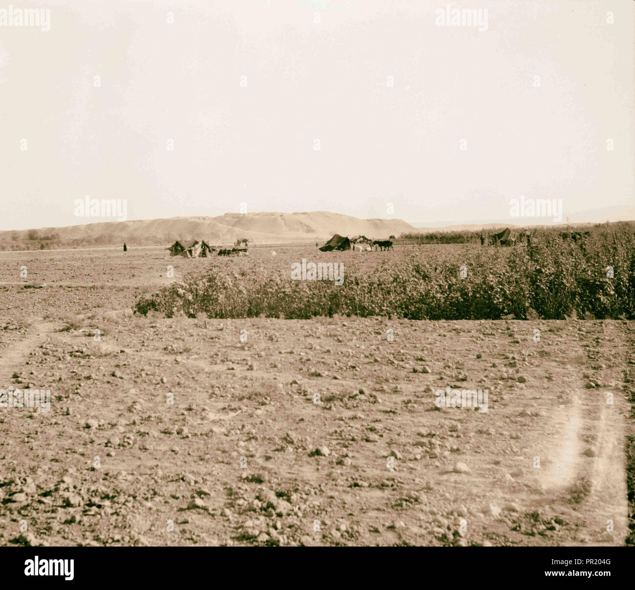 Iraq. Nineveh. 'The Glory of Kingdoms.' Mounds covering ancient site taken from a distance. 1932, Iraq, Ninevah, Extinct city Stock Photo