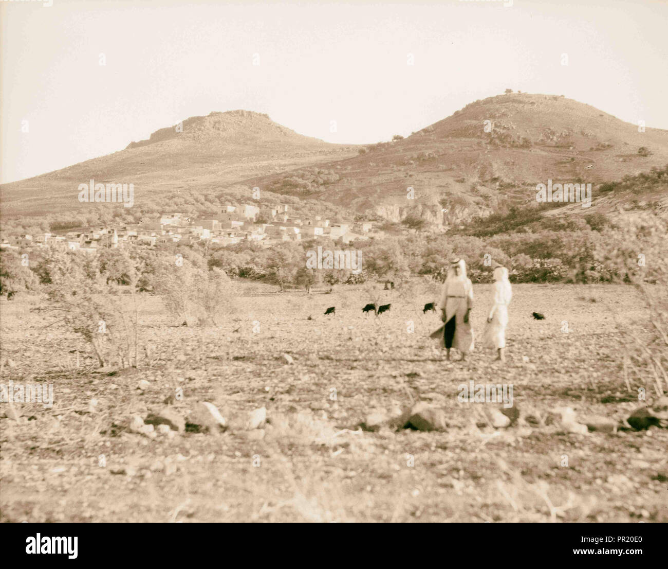 Galilee. Tiberias & Hattin. Photograph shows the Horns of Hattin. 1934