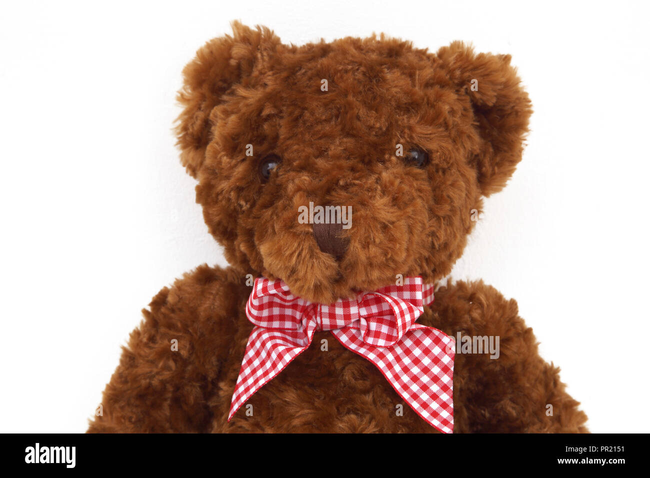 brown teddy bear with red bow tie