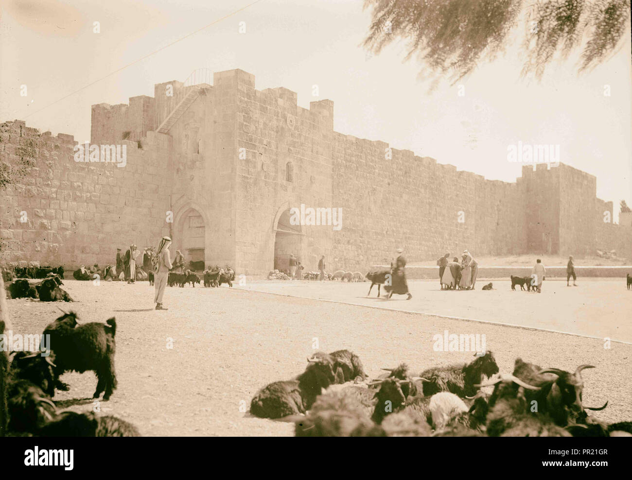 Herod's Gate. 1940, Jerusalem, Israel Stock Photo - Alamy