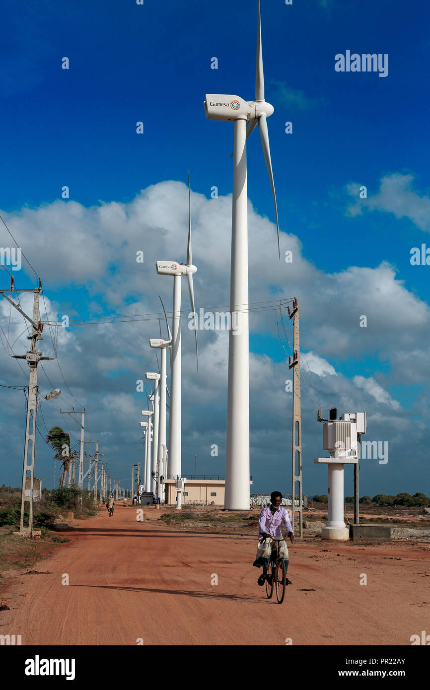 Man rides bicycle past wind turbines on the shore of Puttalam Lagoon, Sri Lanka Stock Photo