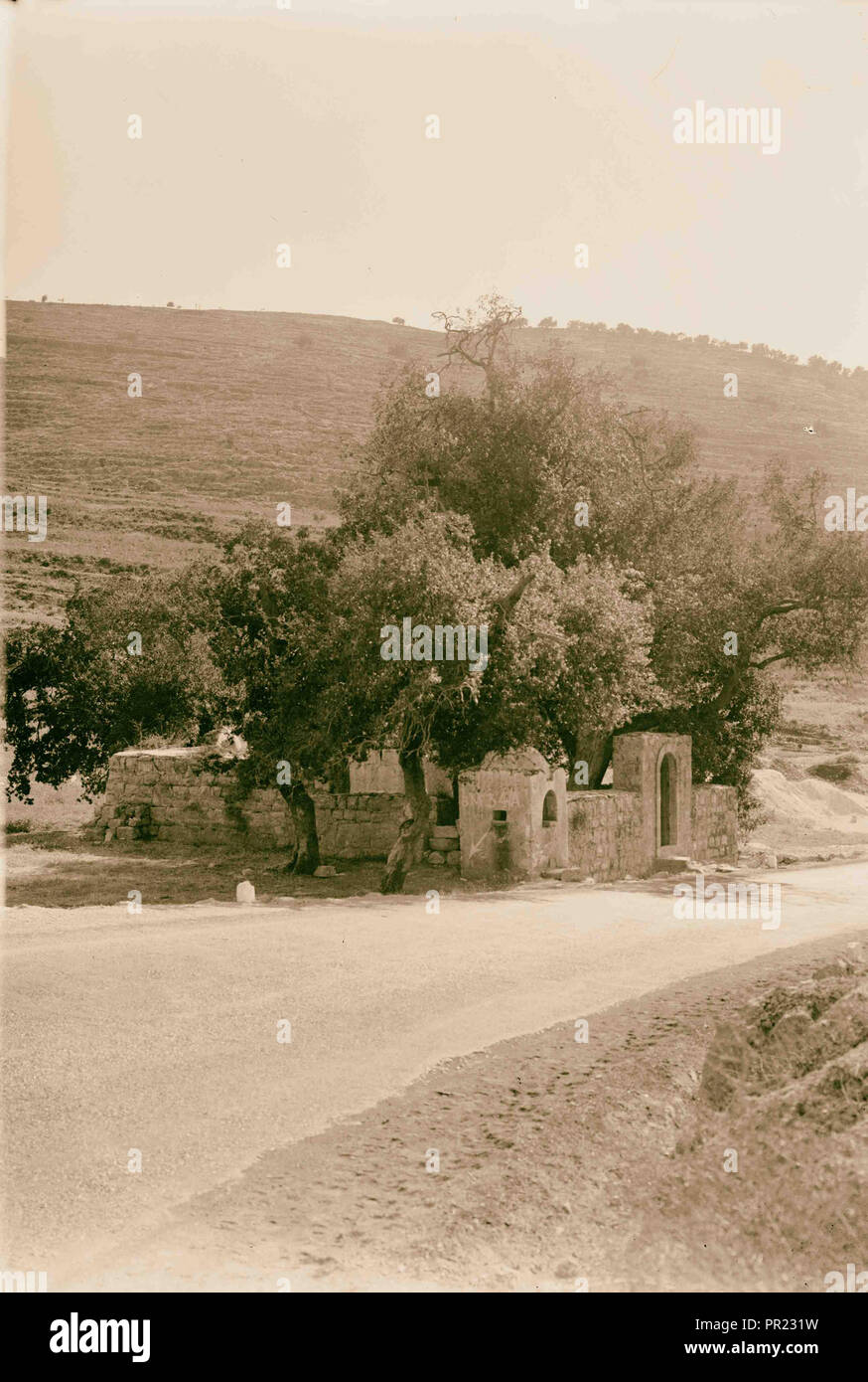 Wili [i.e., weli] at Bab el-Wad. 1934, Israel Stock Photo