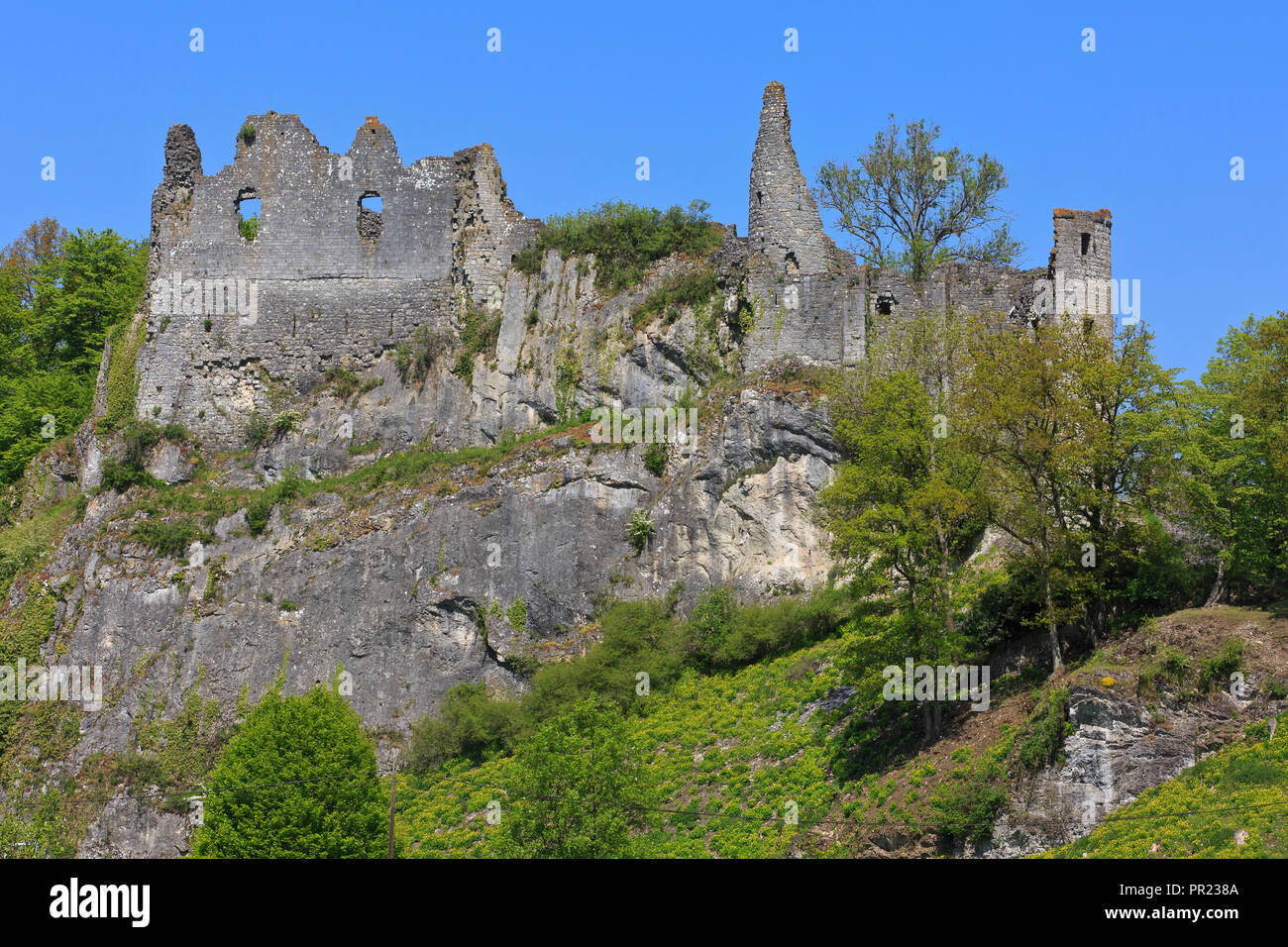 Ruins of the 14th-century Montaigle Castle (Château de Montaigle) in  Onhaye, Belgium Stock Photo