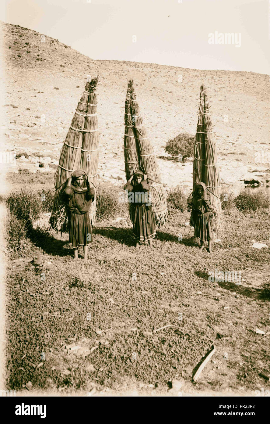 3 Bedouin women carrying (papyrus) bundles on their backs. 1898, Middle East, Israel and/or Palestine Stock Photo