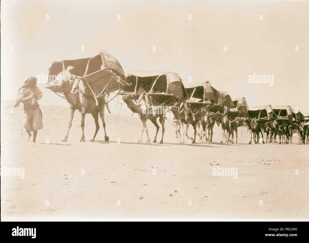 Mecca, ca. 1910. Camel caravan of pilgrims to Mecca. 1910, Saudi Arabia, Mecca Stock Photo Alamy