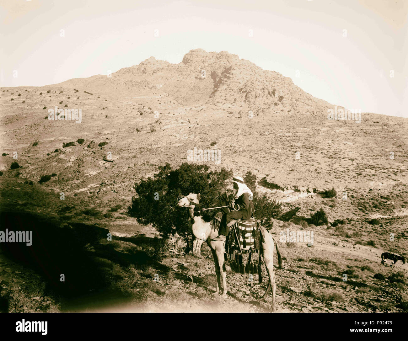 Petra. Mount Hor. 1898, Jordan, Petra, Extinct city Stock Photo