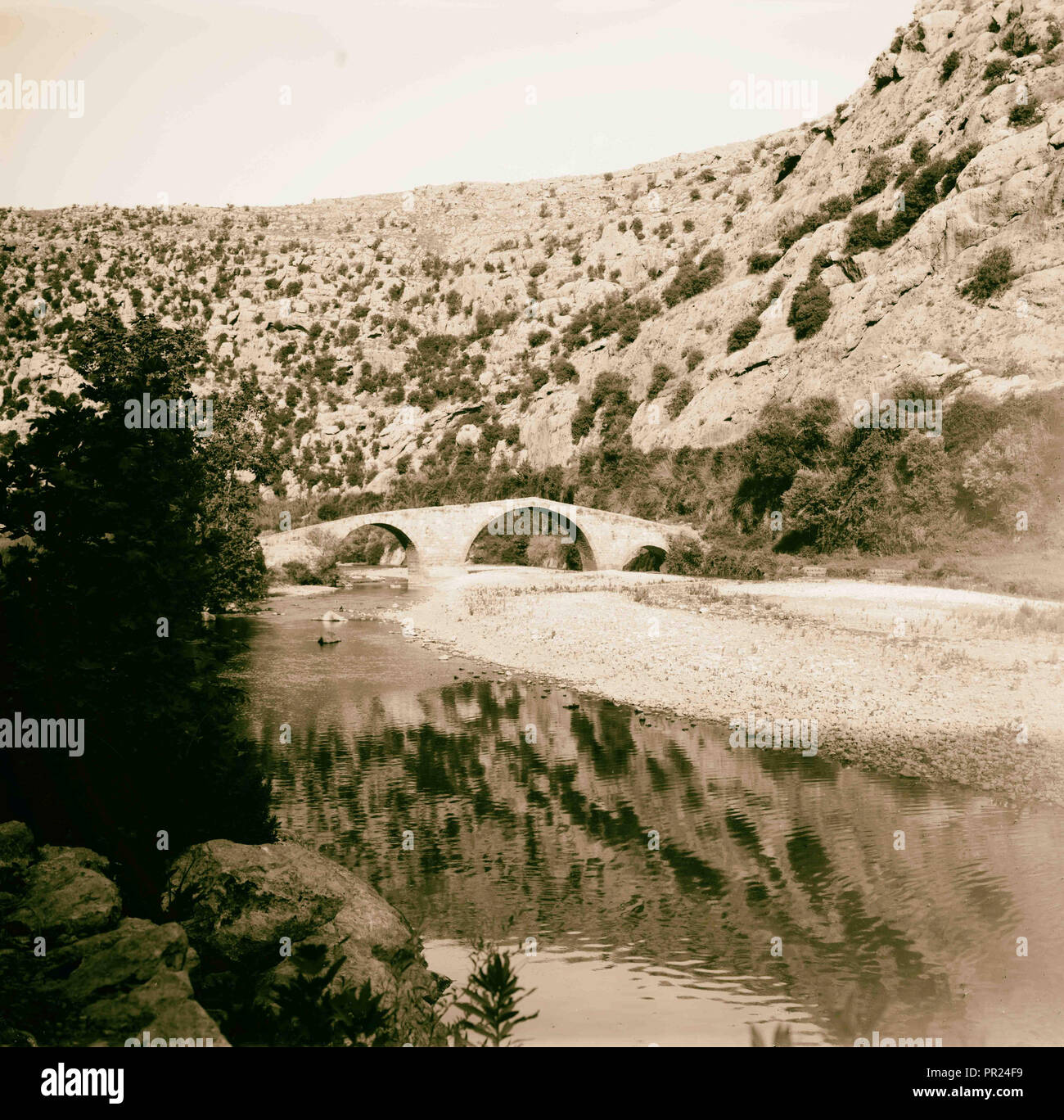 Dog river lebanon hires stock photography and images Alamy