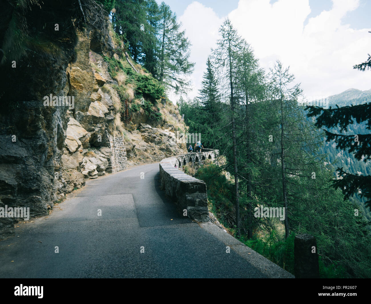 Pathway surrounded by trees hi-res stock photography and images - Alamy