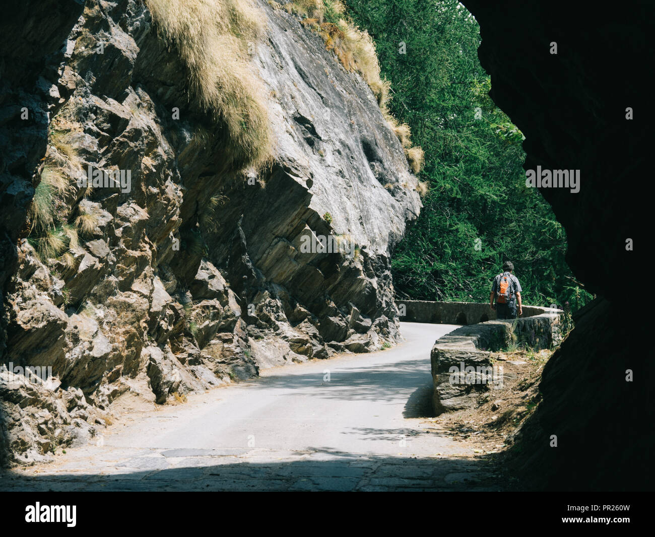 Walking up a footpath in the mountains surrounded by trees and a high cliff Stock Photo