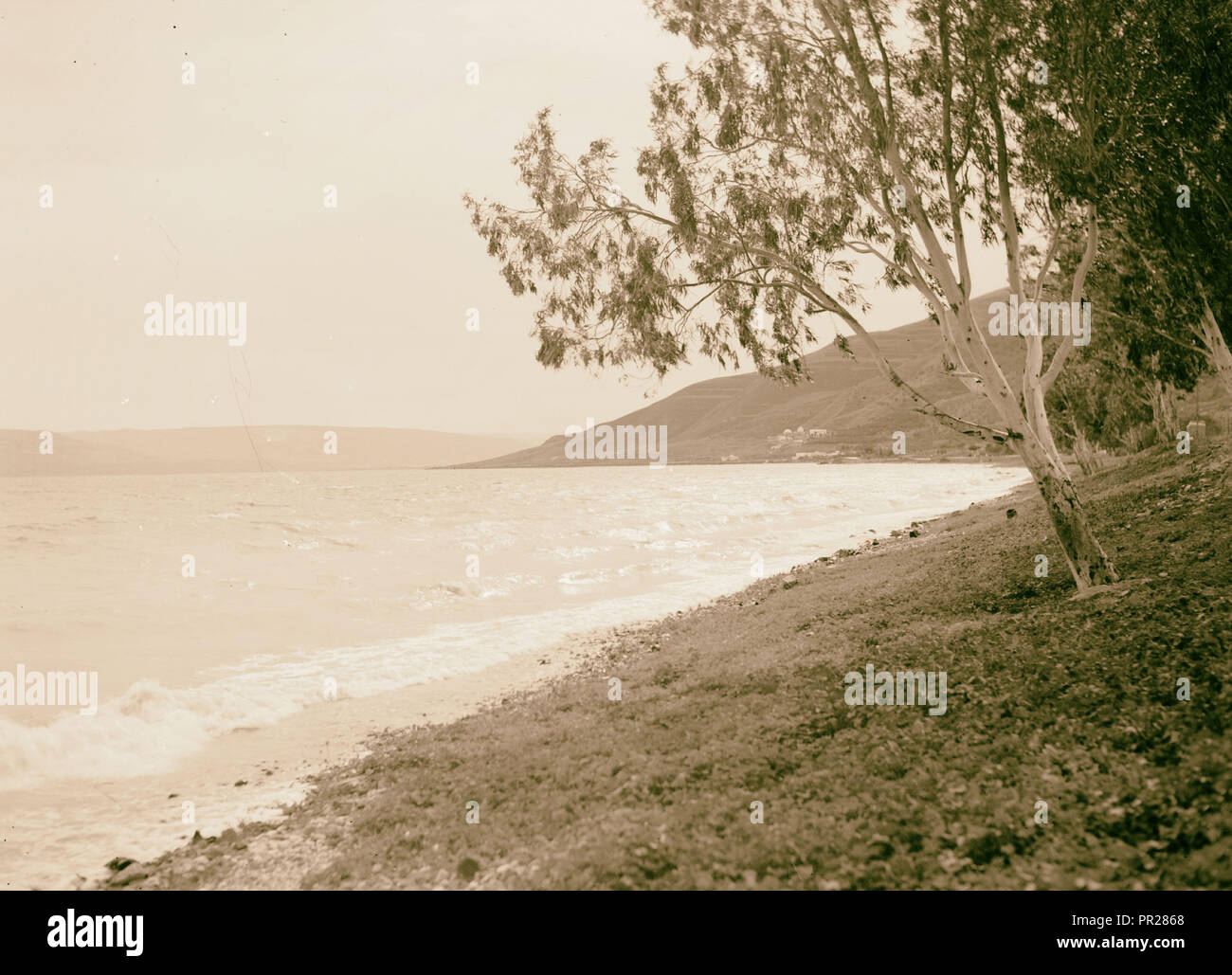 Sea of Galilee, looking S. showing baths in distance. 1940, Israel Stock Photo