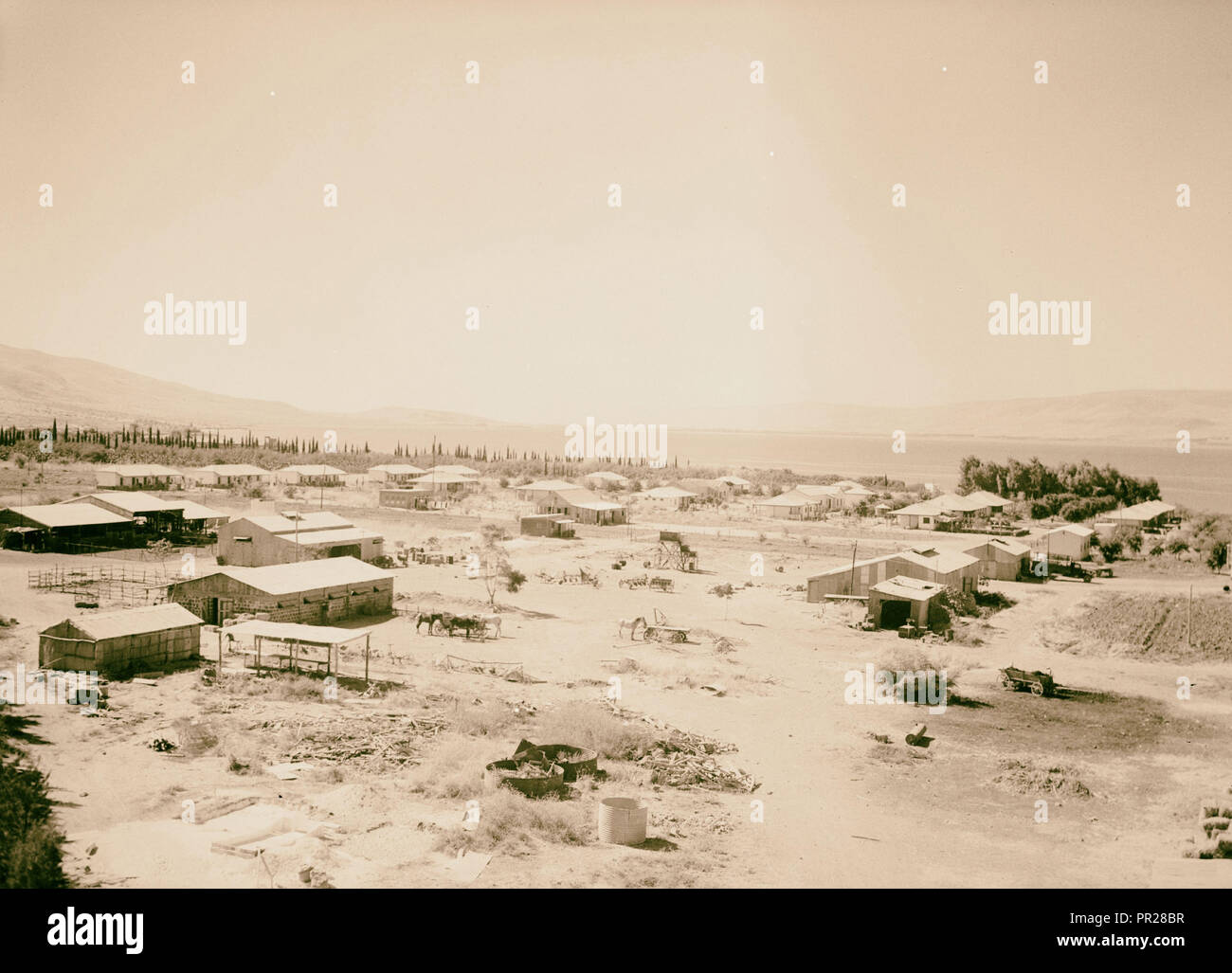 Ain Geb from the watch tower looking towards (S.W.) Semakh. 1945, Agricultural facilities, Israel Stock Photo