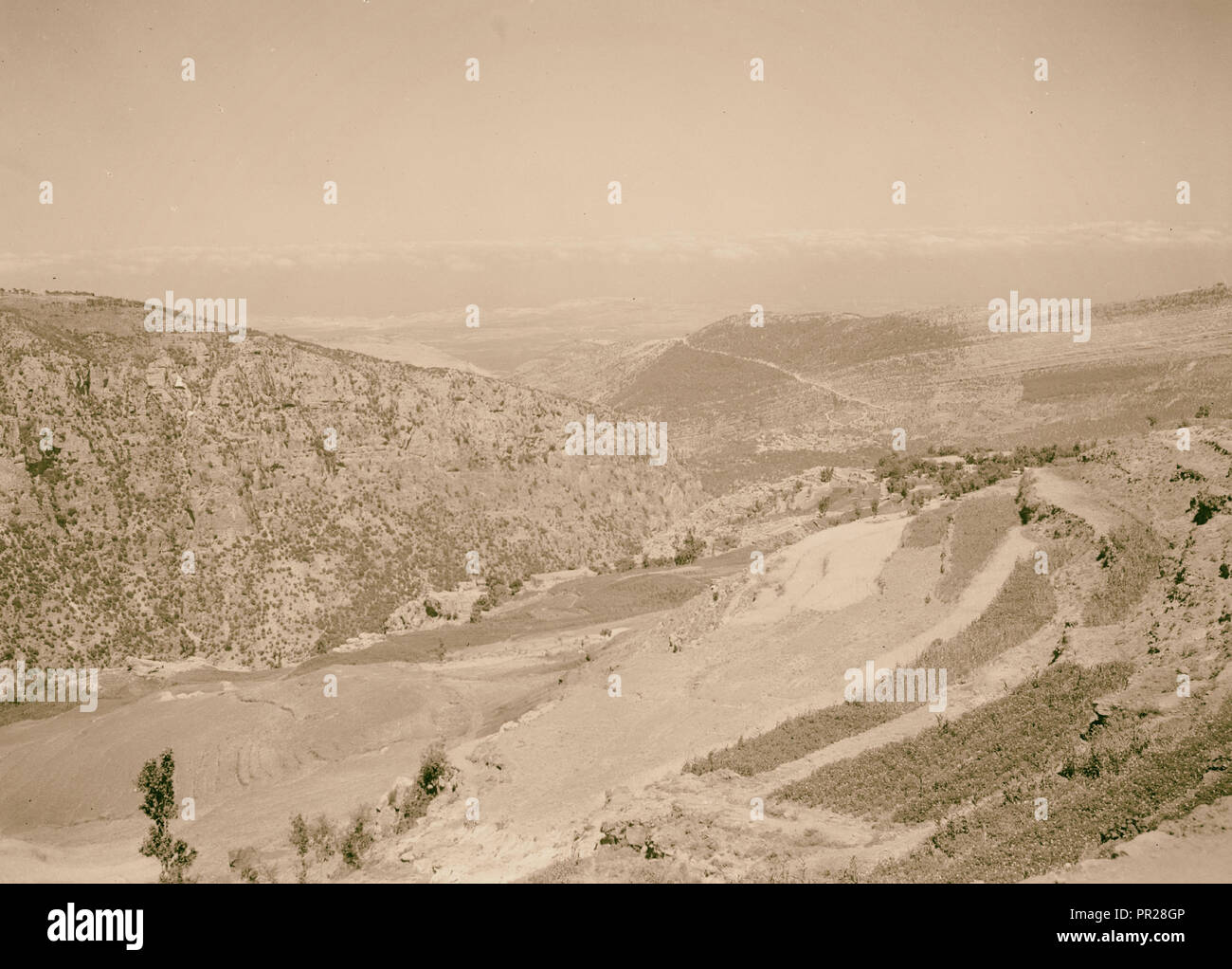 Ehdin, looking west from Ehdin. The cedar. 1945, Lebanon Stock Photo