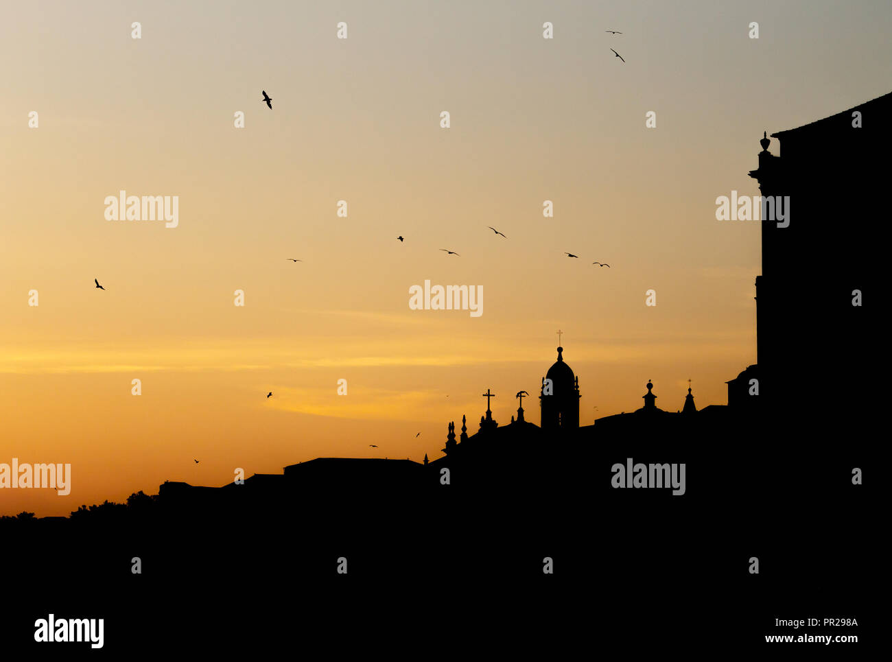 A silhouette of a church with seagulls flying by in Porto during sunset. Stock Photo