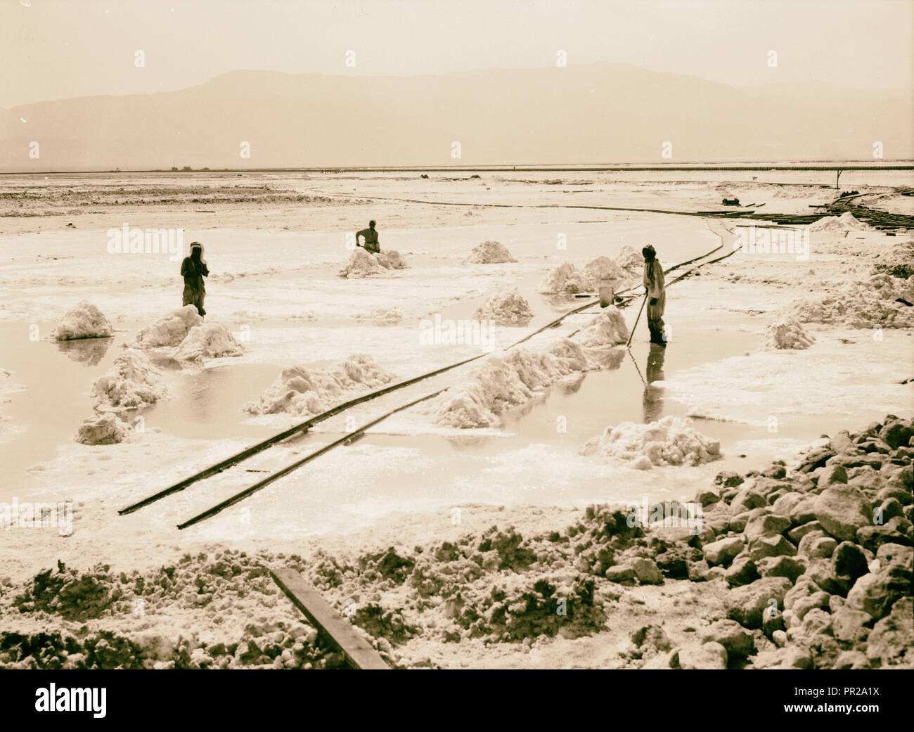 Dead Sea Album, prepared for the Palestine Potash Ltd. A vast field of carnallite being gathered into piles for loading Stock Photo
