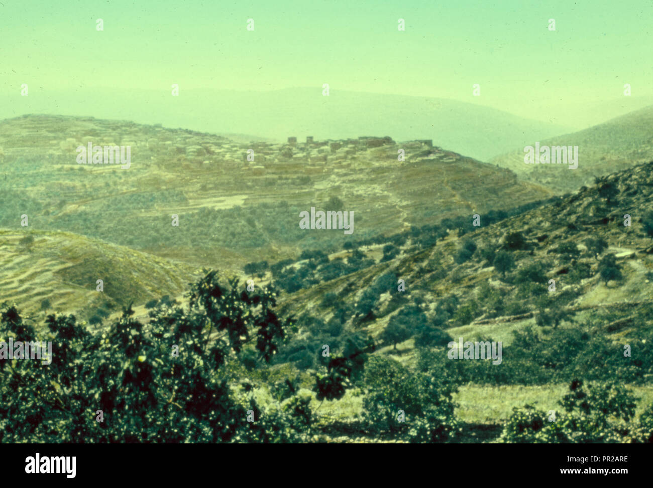 Northward from Jerusalem Hill country of Ephraim. Judges 45. 1950, West Bank, Israel Stock Photo