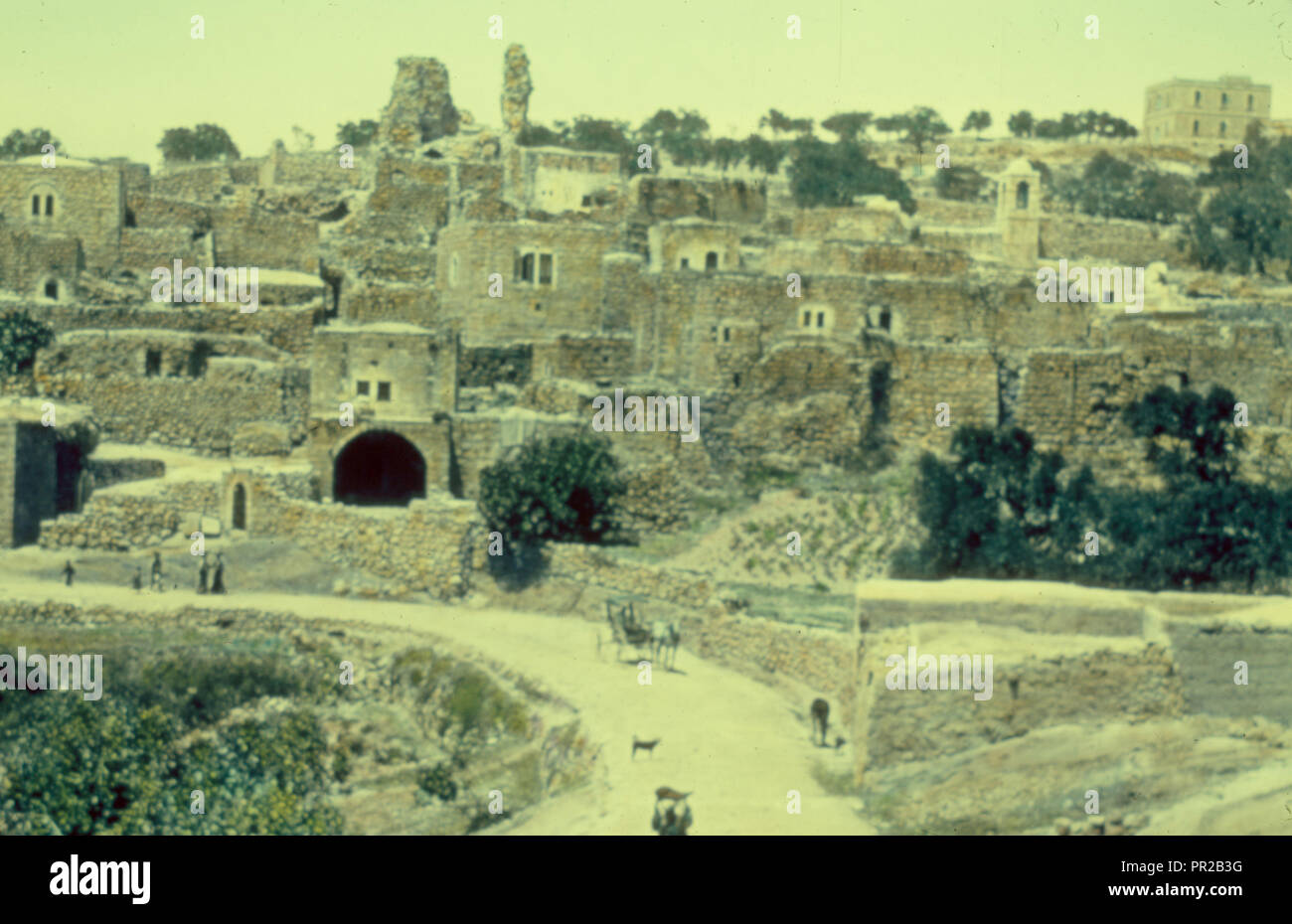 Mount of Olives, Bethany, Bethany from the carriage road. 1950, West Bank, Bethany, Middle East Stock Photo