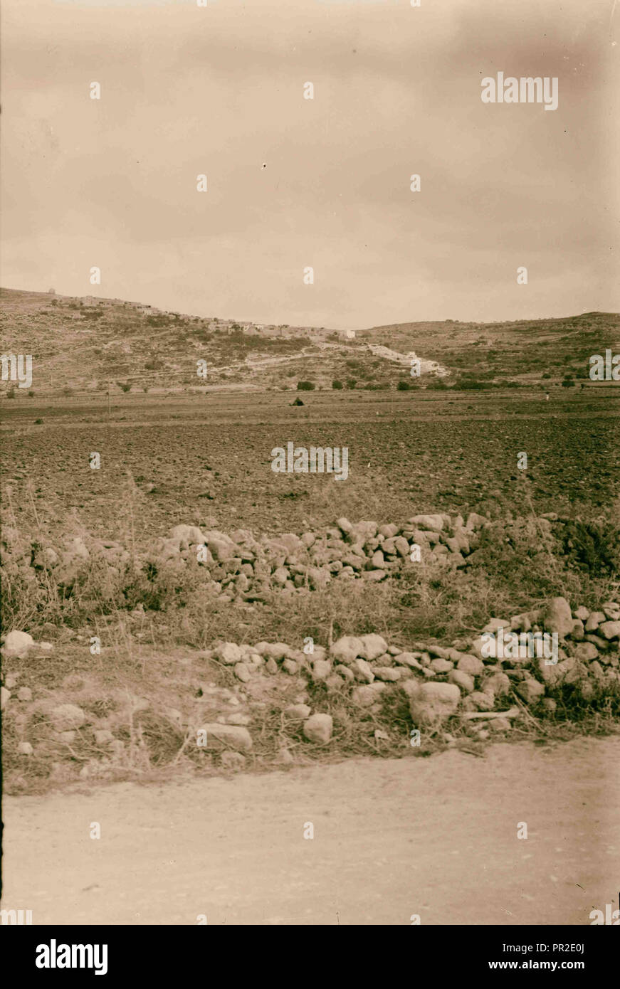 Zarephath High Resolution Stock Photography and Images Alamy