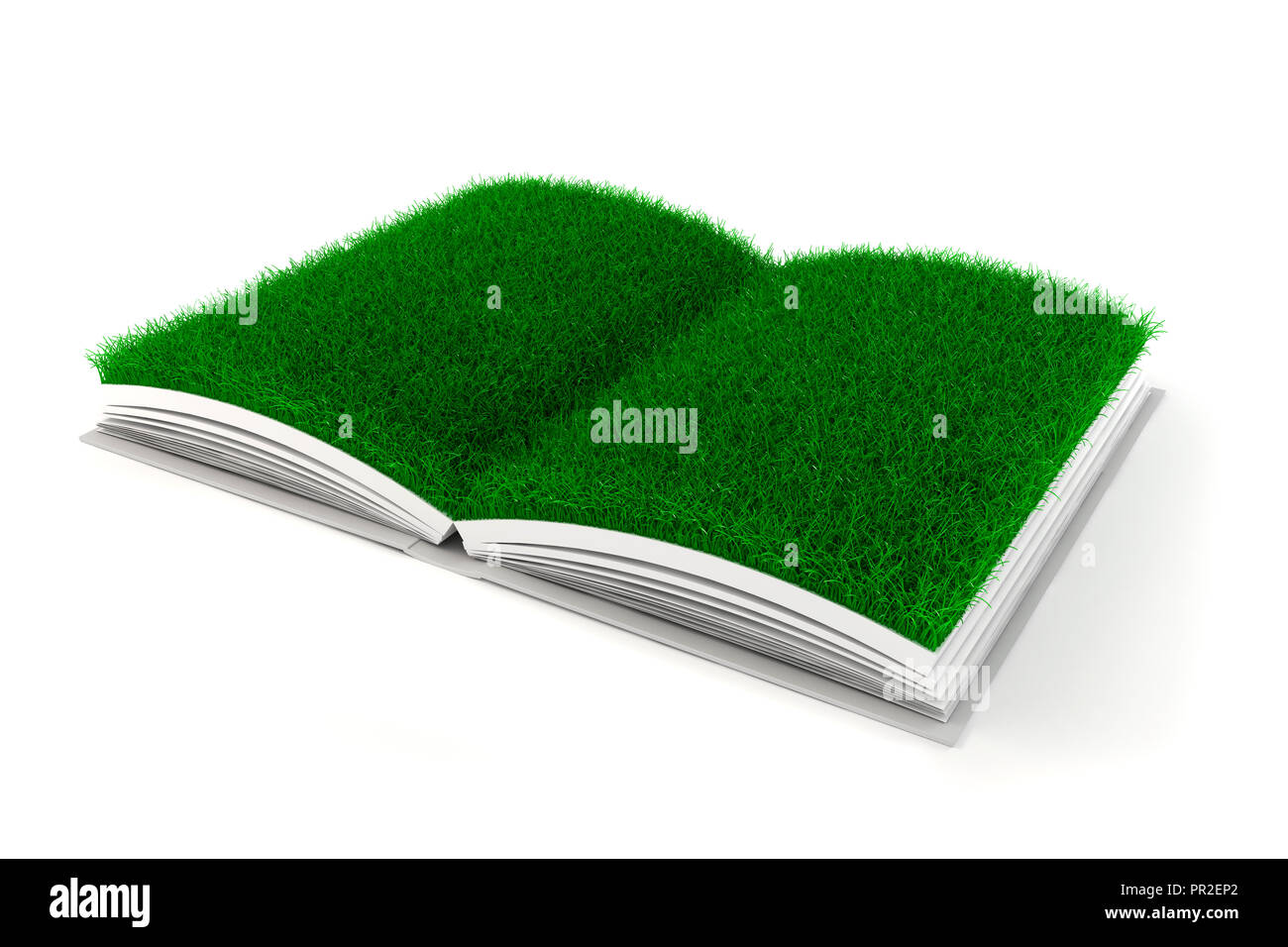 763,890 Open Book Images, Stock Photos, 3D objects, & Vectors