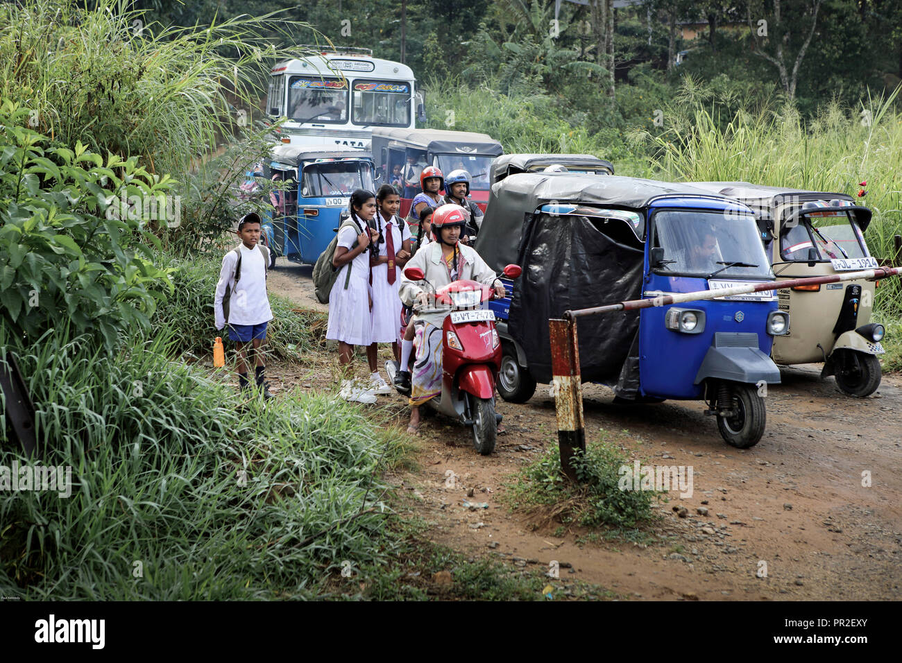 Schoolchildren and auto rickshaws waiting at train crossing in Heel Oya, Sri Lanka Stock Photo