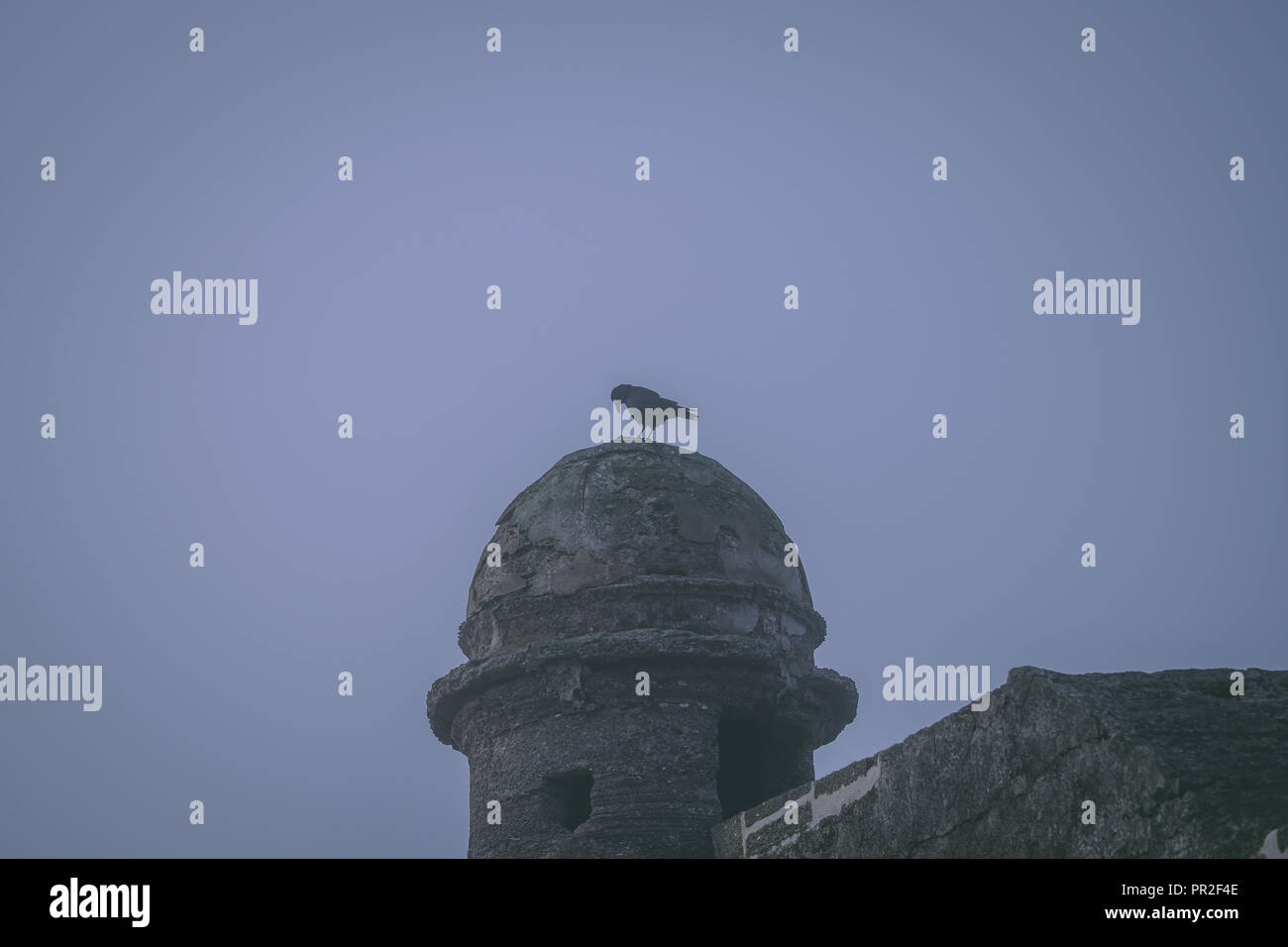 Lone creepy bird standing guard on an ancient fort tower in the fog with room for halloween copy space. Stock Photo