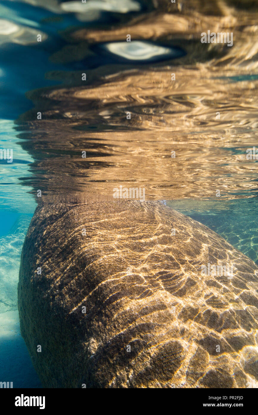 Sand Harbor, Lake Tahoe, underwater boulder landscapes in crystal blue alpine lake at Sand