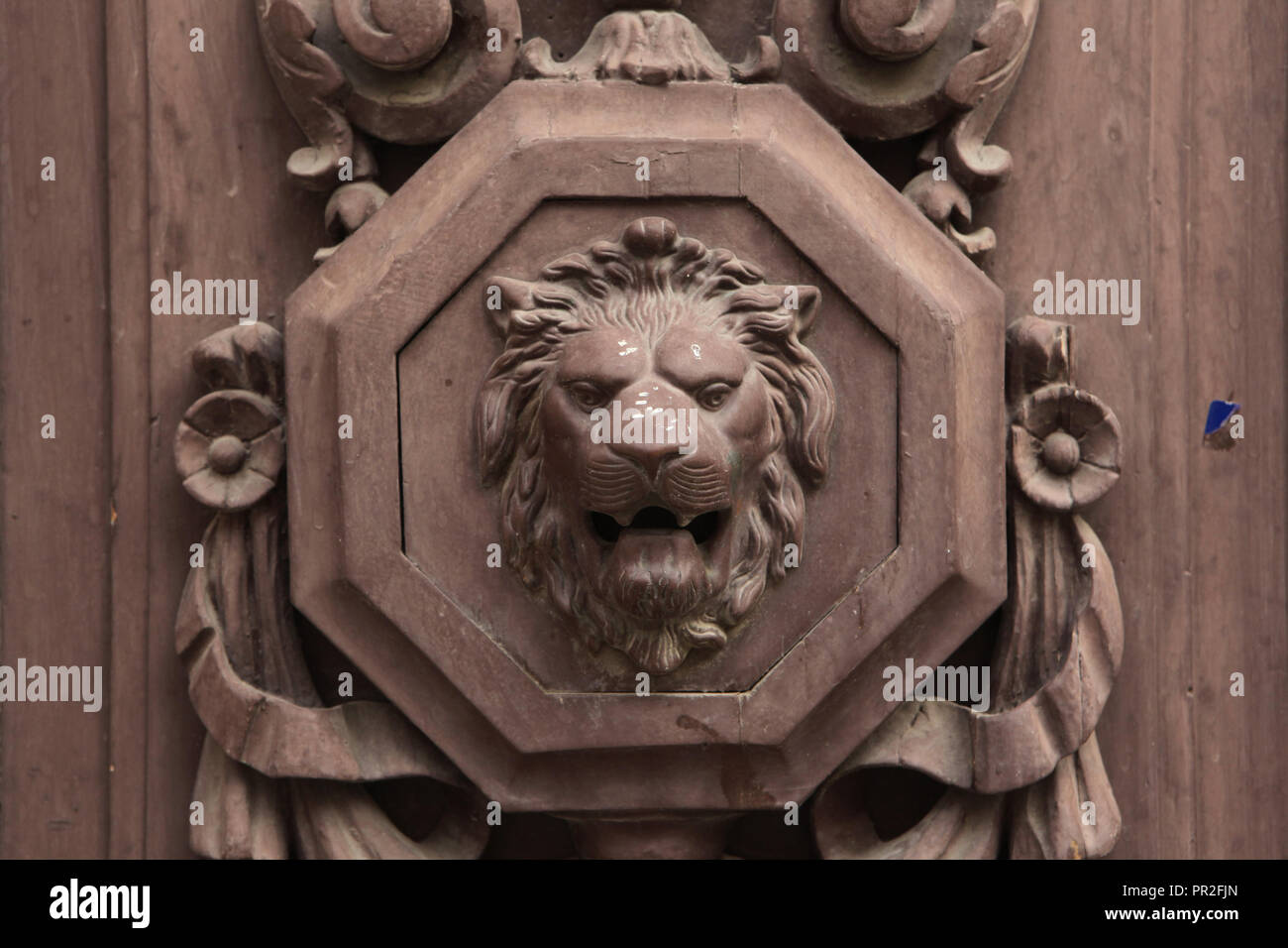 wood carved lion