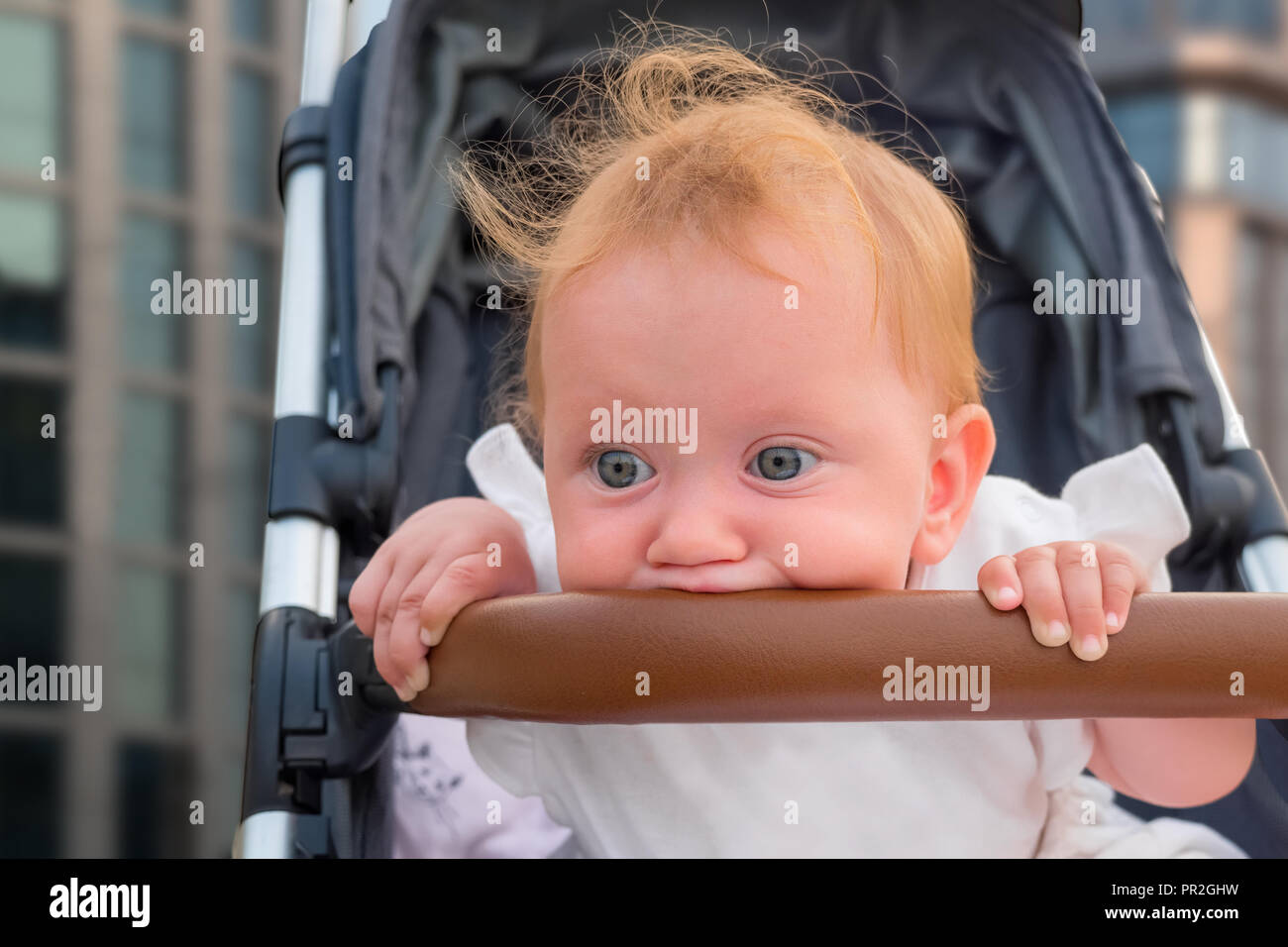 baby girl bumper