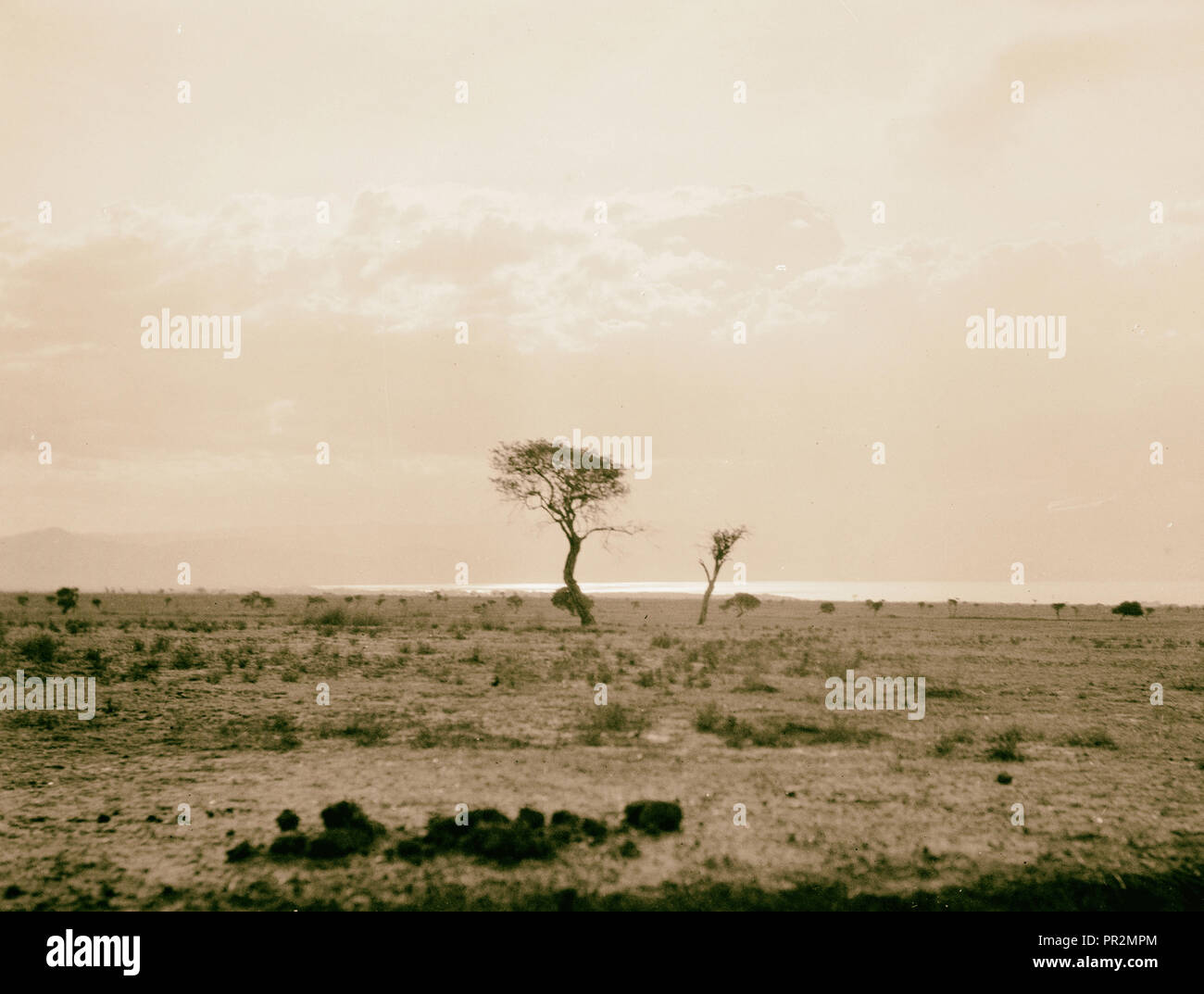 Kenya Colony. Rift Valley and en route to Nairobi. Typical valley scene