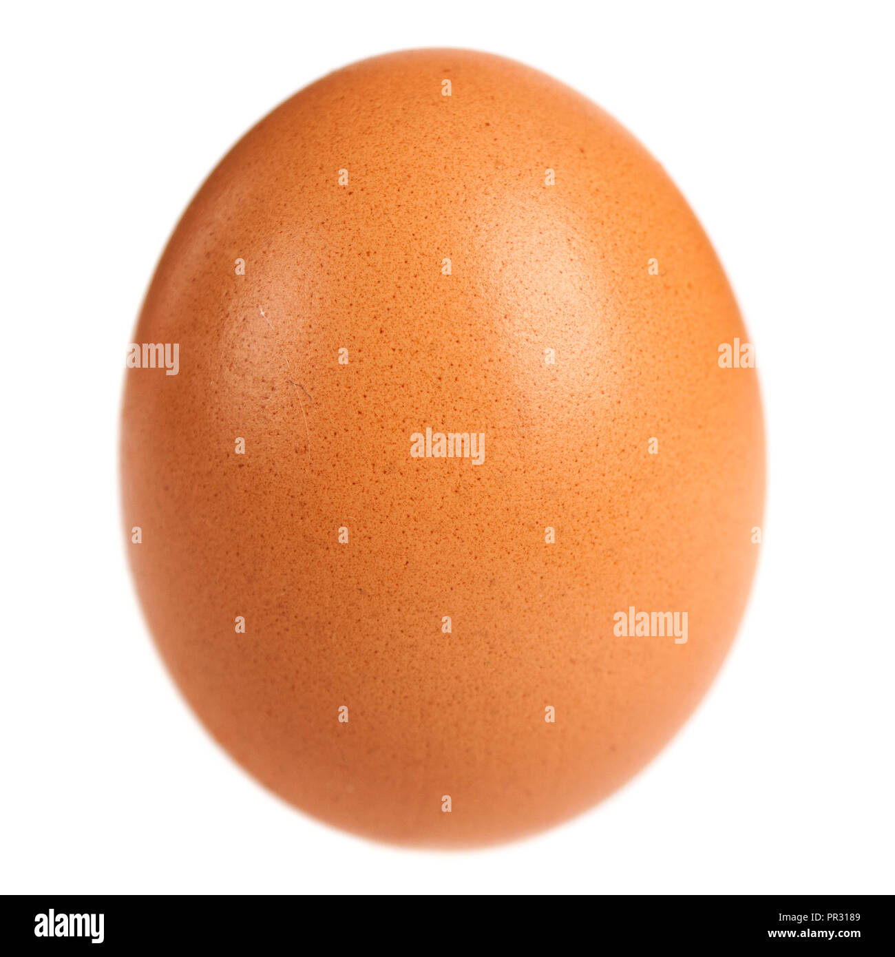 Brown egg whole on white background. Close up Stock Photo