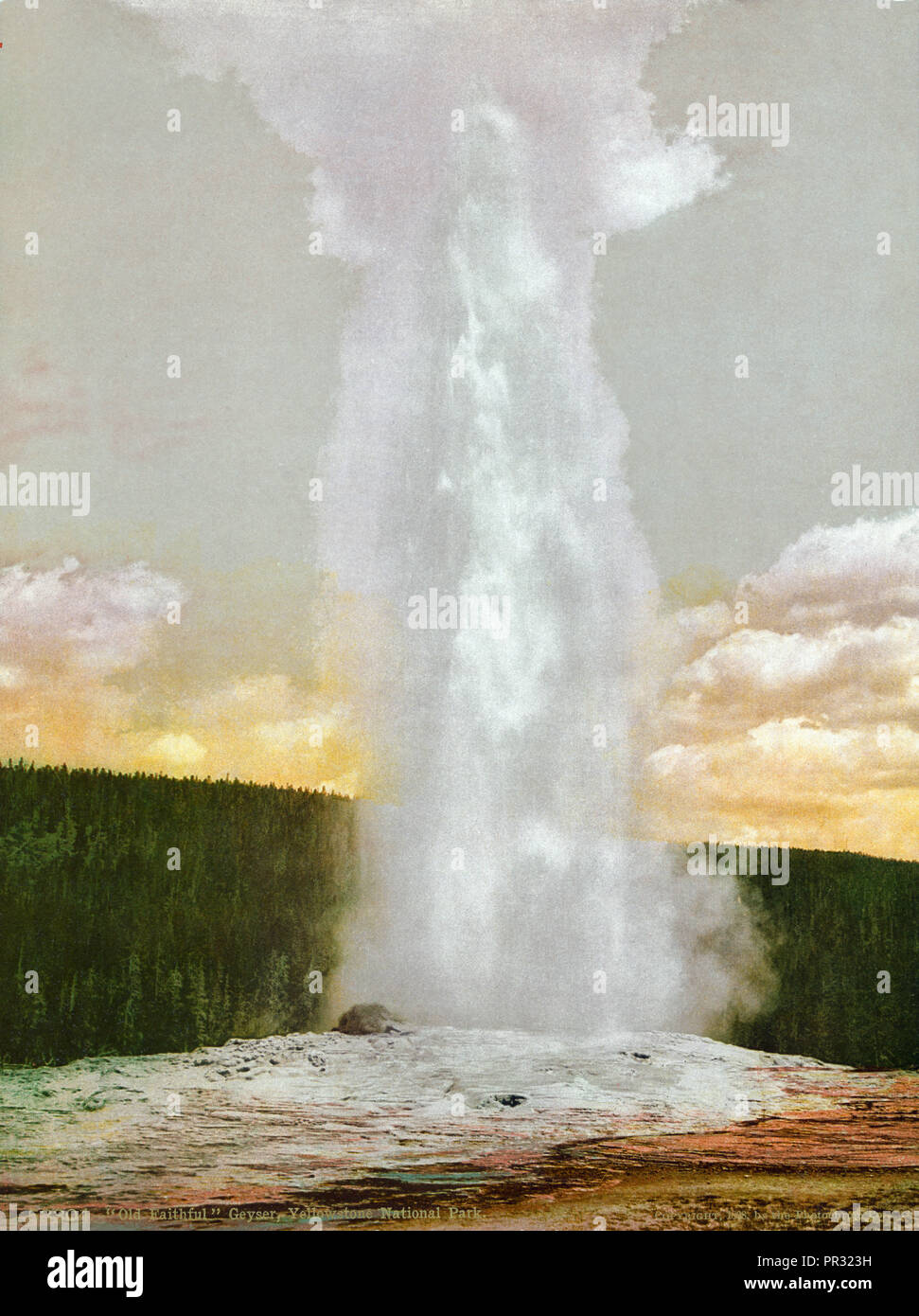 Old Faithful geyser at Yellowstone National Park Stock Photo