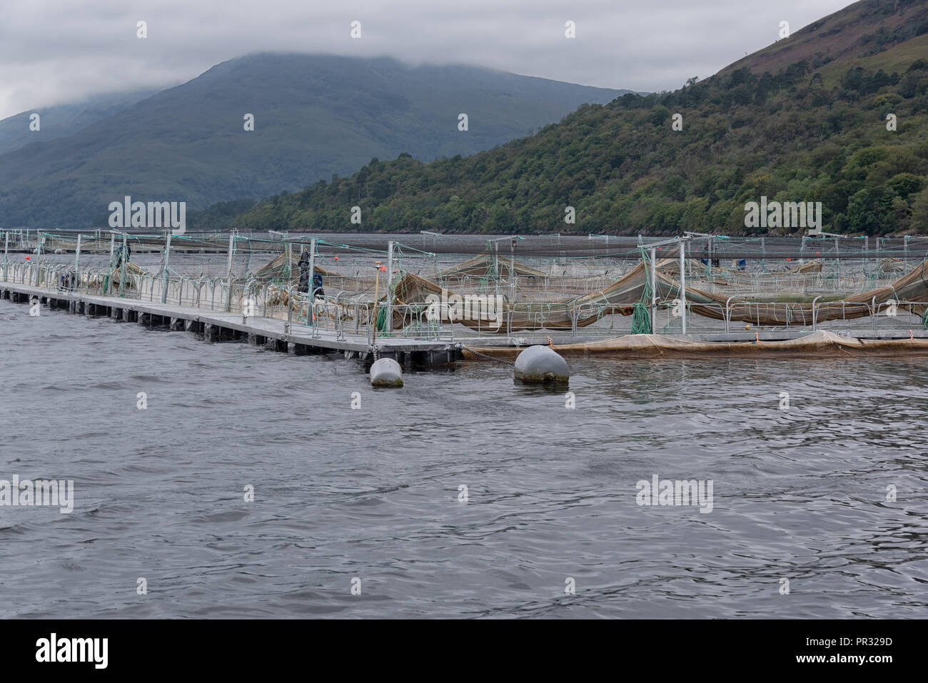 Salmon Farm at Fort William and Loch Linnhe views of water and mountains in Scotland Stock Photo