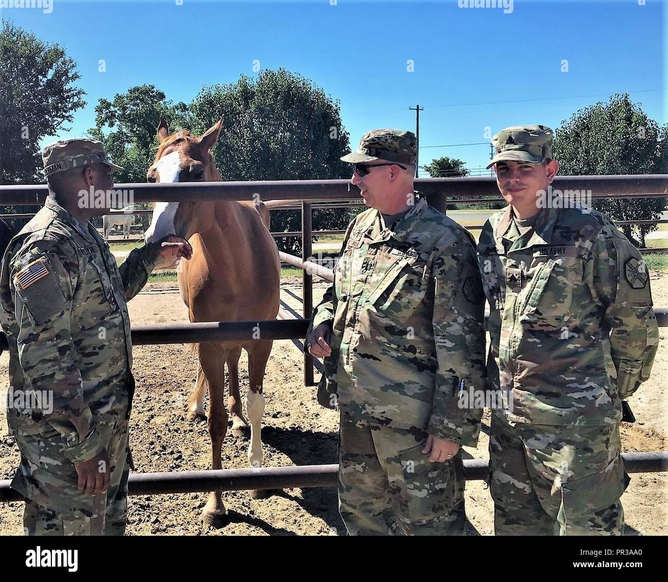 1st cavalry division horse cavalry detachment hires stock photography
