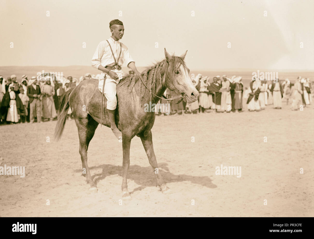 Race meeting (horse & camel). Beersheba. Parading horses before the races. 1940, Israel, Beersheba Stock Photo