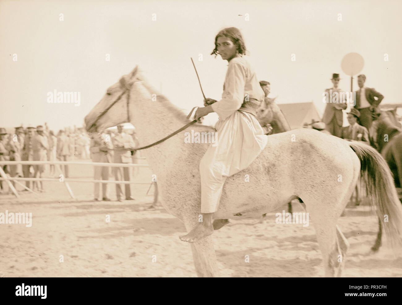 Race meeting (horse & camel). Beersheba. Parading horses before the races. 1940, Israel, Beersheba Stock Photo