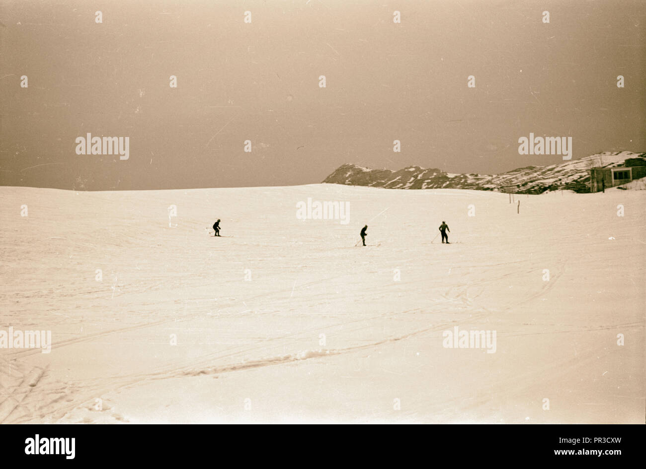 Cedars. The youngsters enjoy a skiing jaunt. 1946, Lebanon Stock Photo
