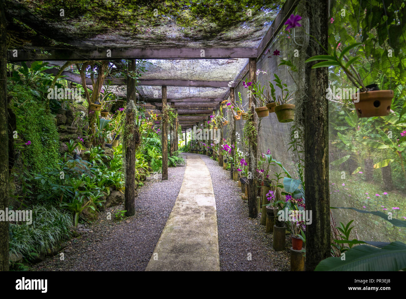 The Garden of the Sleeping Giant was started by American Actor Raymund Burr in Fiji Stock Photo