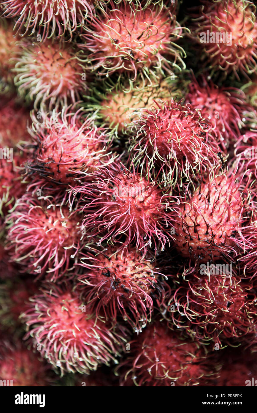 Fresh rambutan fruit closeup detail Stock Photo - Alamy