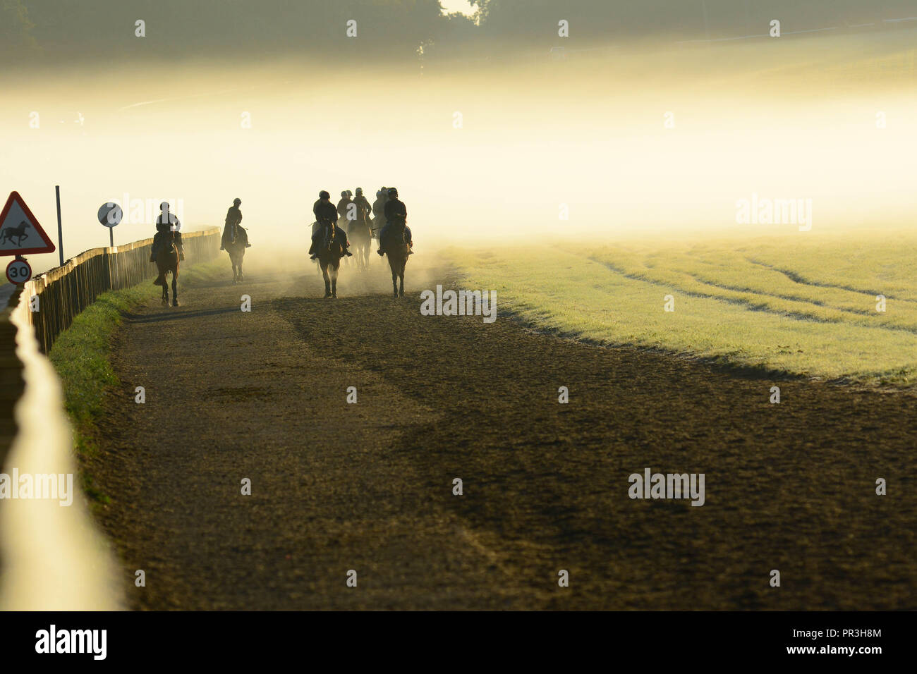 Newmarket , Suffolk, UK, 2018-09-29, Horses up early for their training at Warren Hill, known as the gallops. Stock Photo