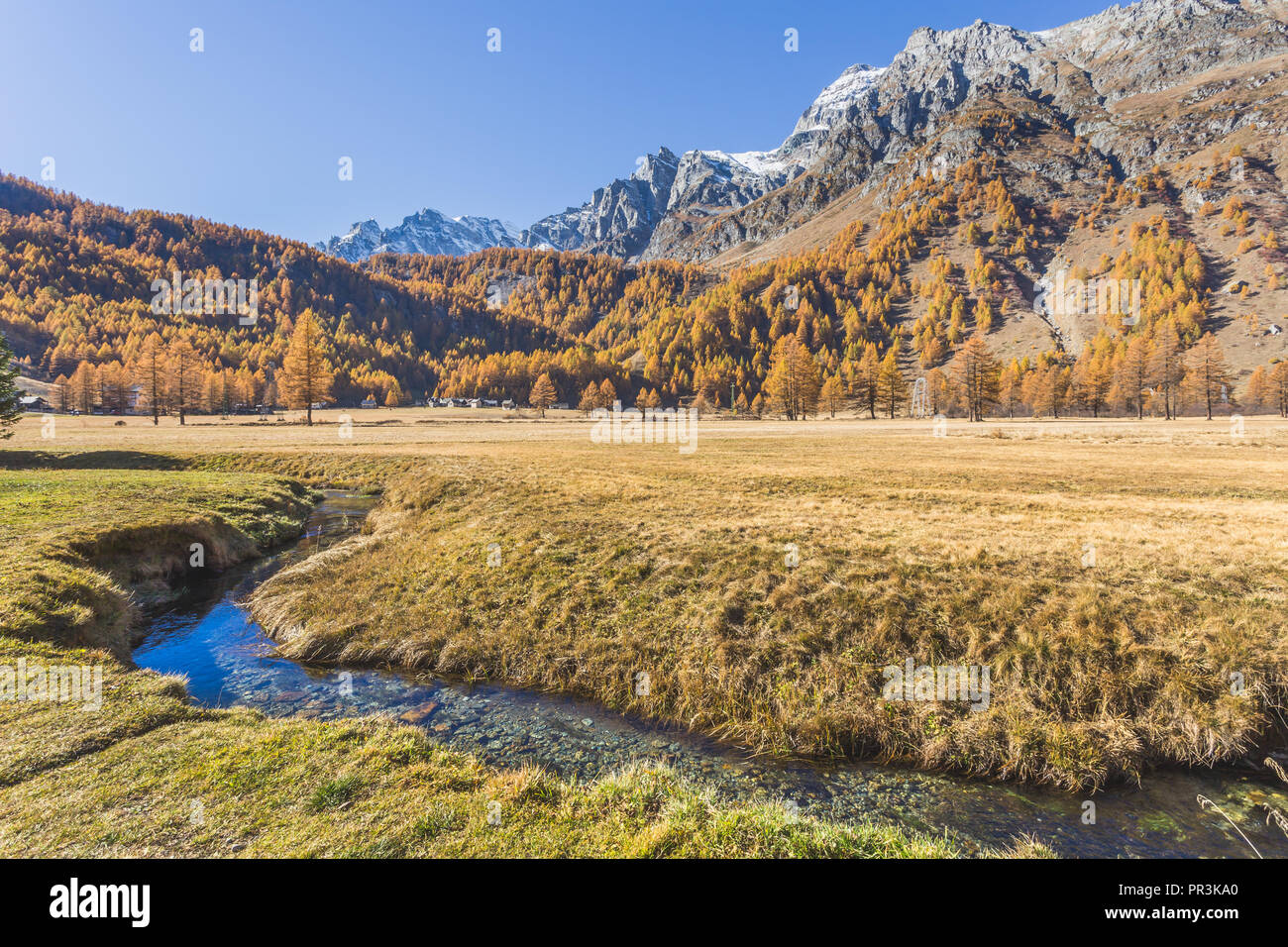 Colorful larch near Lake Devero, in autumn, Alpe Veglia and Alpe Devero Natural Park, Baceno, Verbano Cusio Ossola province, Piedmont, Italy Stock Photo