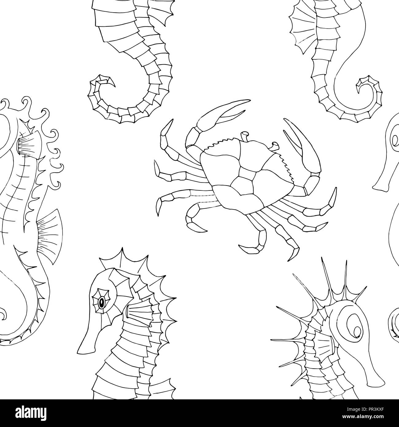 the marine pattern with crab and seahorses Stock Vector Image & Art - Alamy