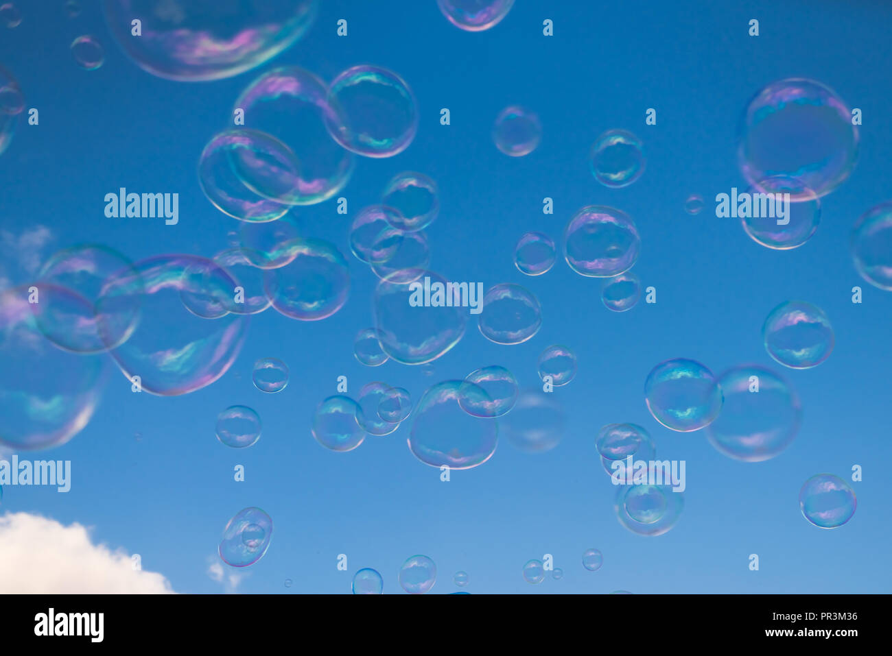 Giant soap bubbles floating high in the air with the blue sky in the  background Stock Photo - Alamy, image size:1300x957