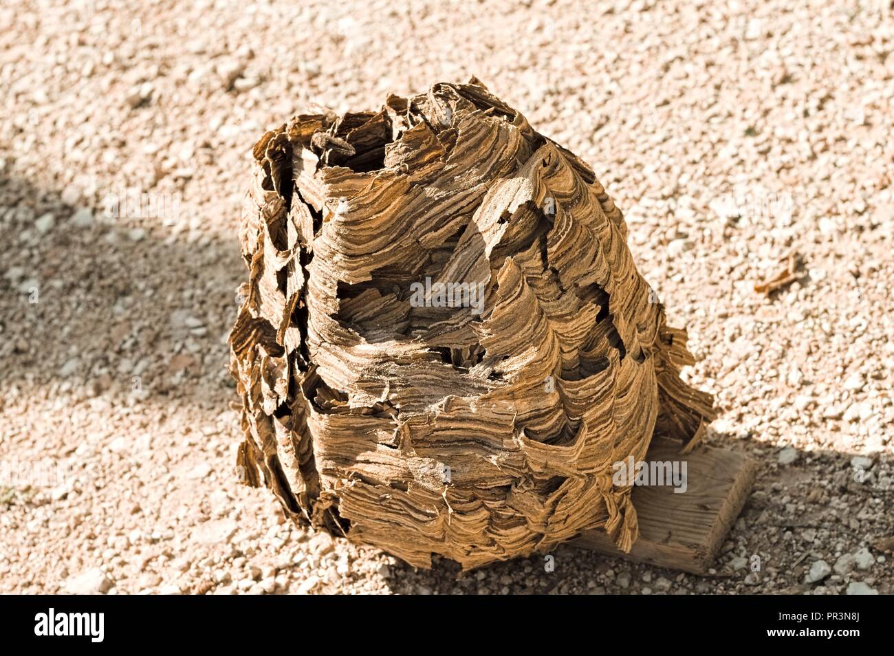 Sand hires stock photography and images Alamy