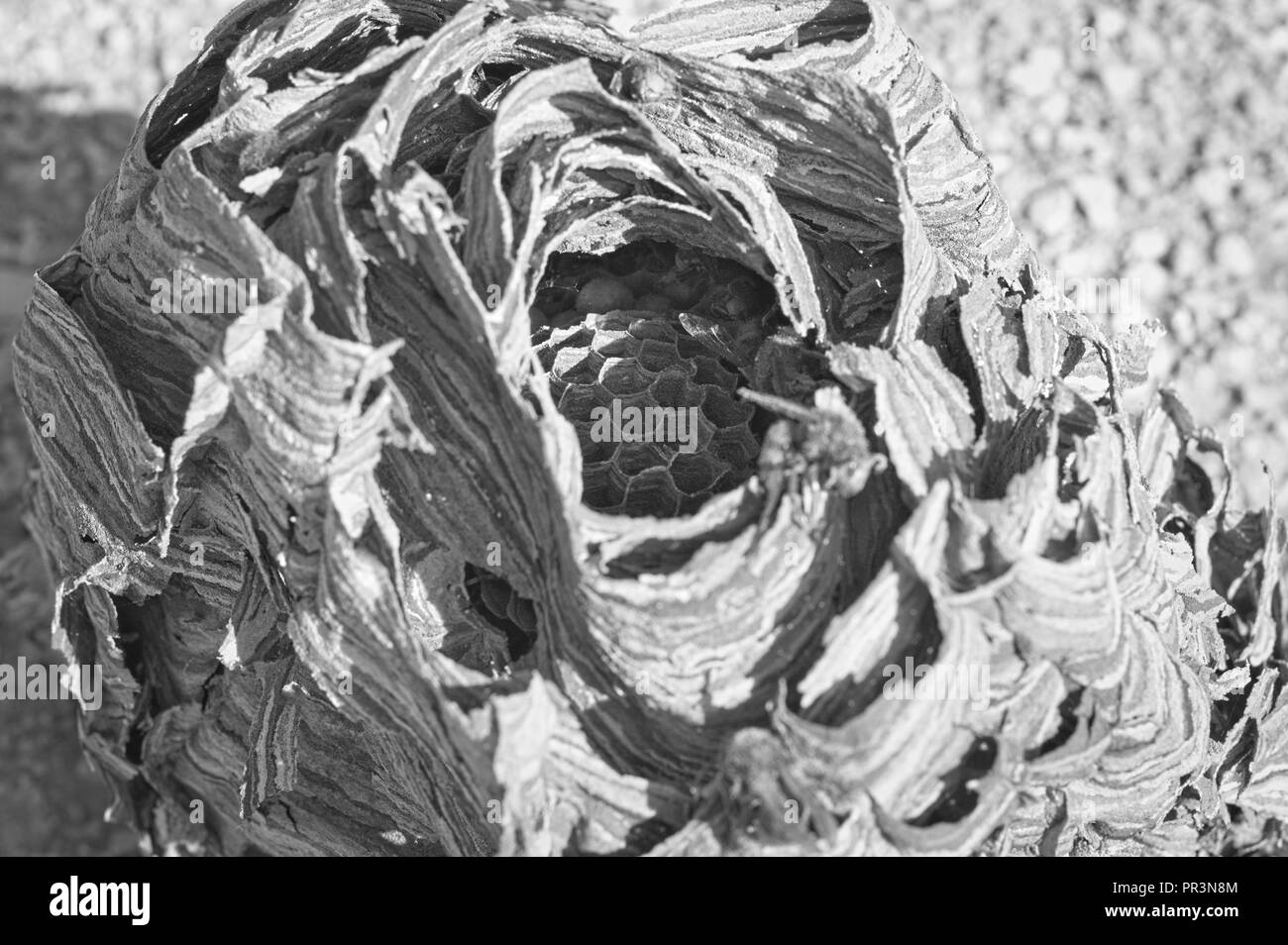 Sand High Resolution Stock Photography and Images Alamy