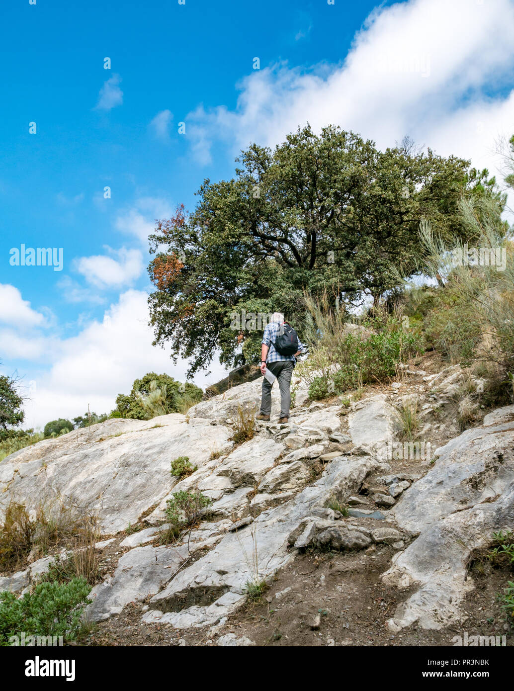 Older man wearing backpack walking on rocky hillside of GR 249 mountain walking route, Sierras de Tejeda Natural Park, Axarquia, Andalusia, Spain Stock Photo