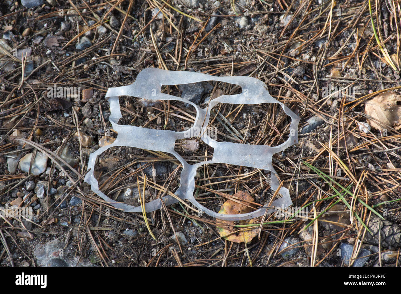 Litter plastic waste discarded in the countryside, plastic rings for holding cans together, dangerous to wildlife Stock Photo