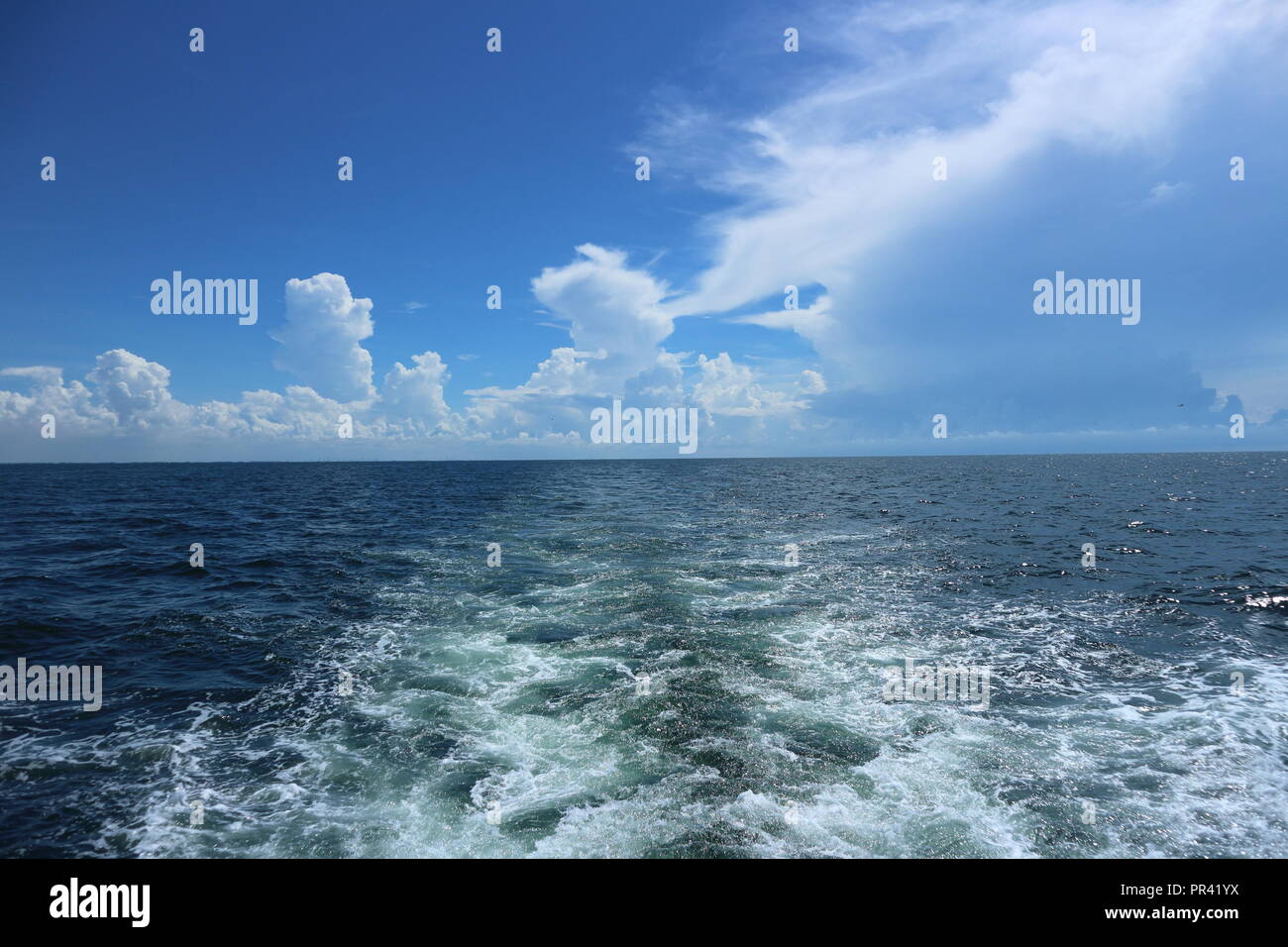 Old man driving boat hi-res stock photography and images - Alamy