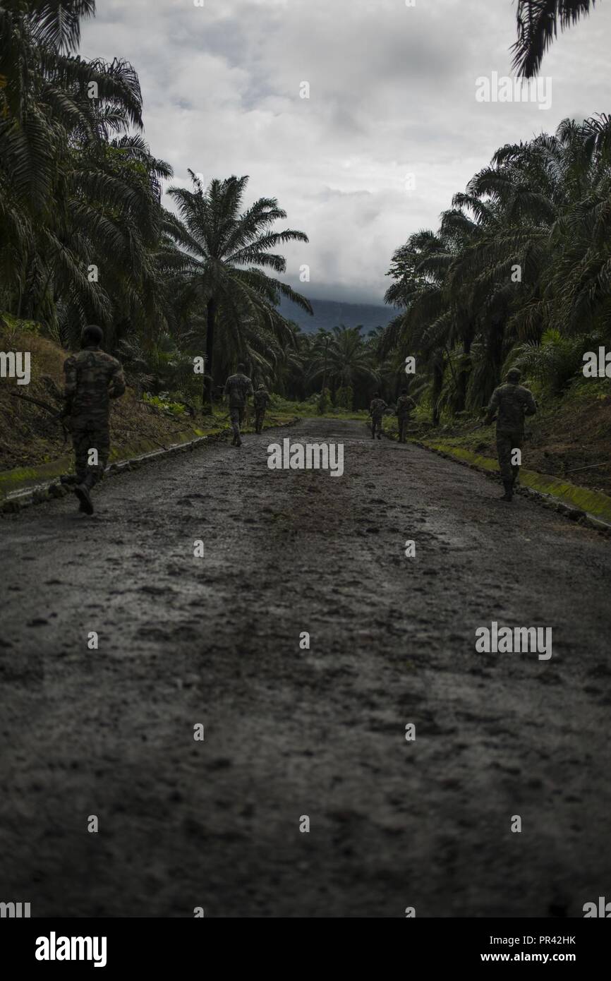 Cameroonian Marines patrol during a scenario given by U.S. Marines