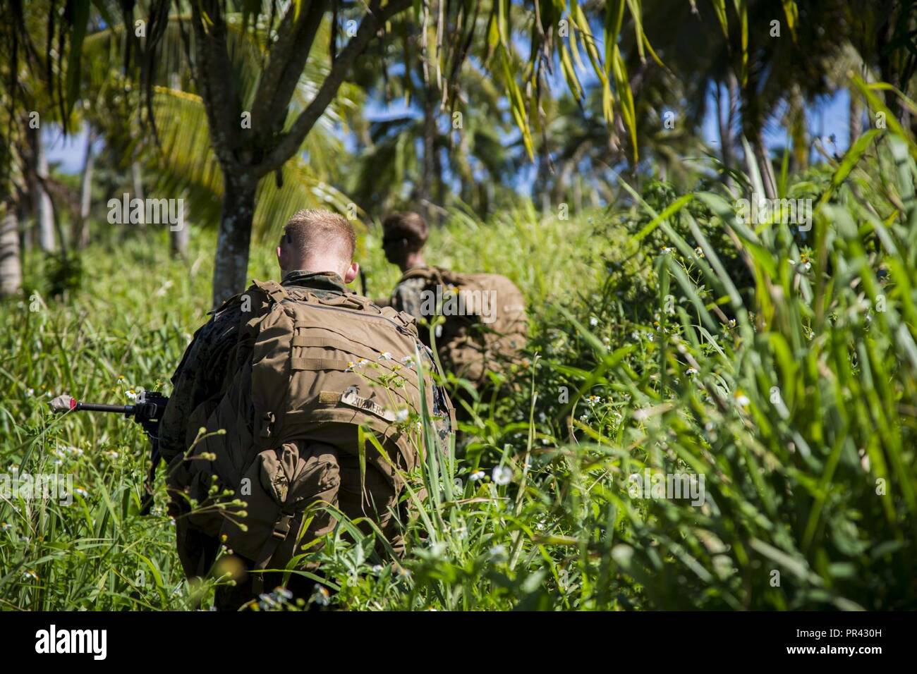 U.S. Marines with 3rd Battalion 4th Marines attached to Task Force Koa Moana 17, move to an objective during a joint service infantry training exercise as a part of Exercise TAFAKULA on Vava’u Island, Tonga, July 25, 2017. Exercise TAFAKULA is designed to strengthen the military-to-military, and community relations between Tonga’s His Majesty’s Armed Forces, French Army of New Caledonia, New Zealand Defense Force, and the United States Armed Forces. Stock Photo