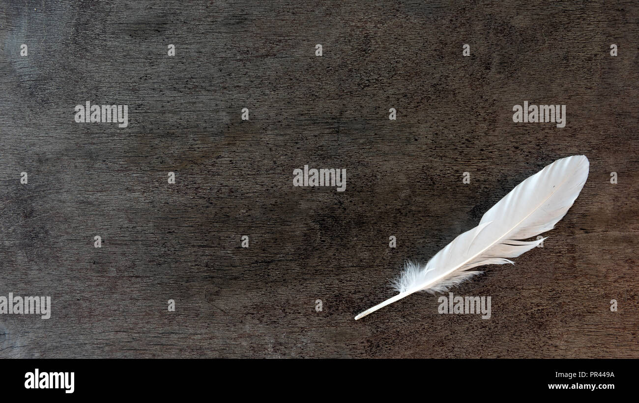 Wooden feather hi-res stock photography and images - Alamy